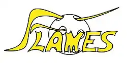 Logo der Jona-Uznach Flames