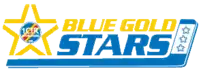 Blue Gold Stars