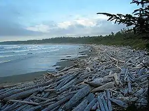 Wickaninnish Beach, Long Beach Unit