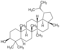 Strukturformel von Lupeol