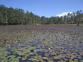 Liqeni i Lulëve – Blumensee