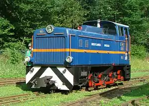 Lyd2 der Waldbahn Bieszczady im Bahnhof Majdan