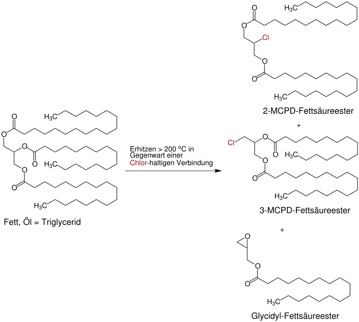 Schematische Darstellung der Bildung eines 2-MPCD-Fettsäureesters,  eines 3-MCPD-Fettsäureesters und eines Gycidyl-Fettsäureesters aus einem Fett oder Öl.