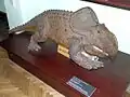 Rekonstruktion eines Protoceratops