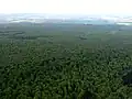 Der Mühlhäuser Stadtwald im Luftbild von Südwesten aus gesehen. Am Horizont die Stadt Mühlhausen