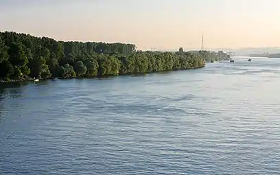 Das nördliche Ufer der Insel und der Rhein