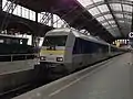 223 144 der Transdev Regio Ost im Leipziger Hauptbahnhof als CLEX RE 6 von Chemnitz Hauptbahnhof