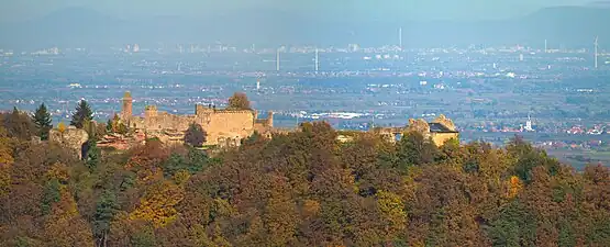 Blick nach Nordosten auf die Madenburg; im Hintergrund die Oberrheinische Tiefebene