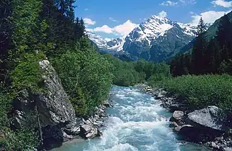 Blick von der Brücke am Graspelenweg