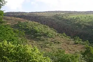 Hamerkop Kloof in den Magaliesbergen