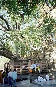 Mahabodhi in Bodhgaya, Indien