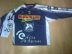 Heimtrikot 2013–2014