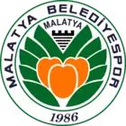 Malatya Belediyespor