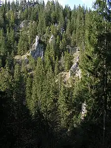 Felsen am Taleingang