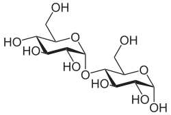 Struktur von Maltose