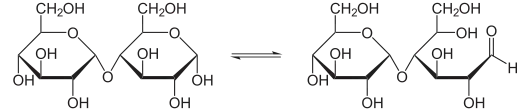 Gleichgewicht zwischen zyklischer und offener Form von Maltose