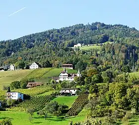 Schloss Weinstein mit Rebbergen im Oberdorf