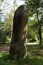 Menhir du Pic