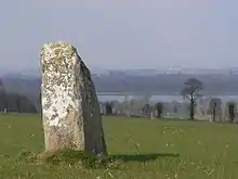 Menhir de la roche au diable (Fels des Teufels)