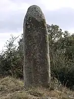 Menhir dels Palaus