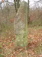 Der Lange Stein von Obermoschel