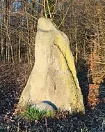 Menhir von Wersau im nördlichen Odenwald