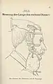 Messung der Länge des rechten Ohres – 1895