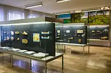 Ausstellungsraum