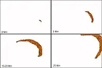 Sichelförmige Aura aus Grafikstrukturen, die wächst und dann auswandert und dem Realbild überlagert ist, statt statischer Zickzackgrafik kommen auch schillernde Farbflächen vor