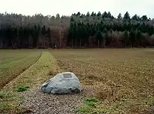 Der Findling markiert den geografischen Mittelpunkt des Kantons Schaffhausen.