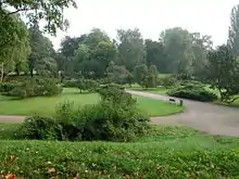 Stadtpark mit Birkenhain