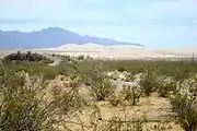 Blick auf die Kelso Dunes und die Granite Mountains