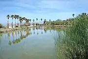 Lake Tuendae in Zzyzx