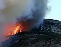 Waldbrand im Jahr 2004