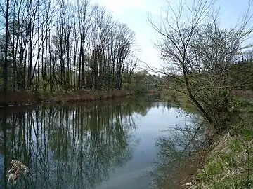 Moosach nahe der Mündung in die Isar