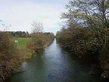 Moosach im Freisinger Moos