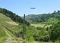 Mittelbachtal bei Reichenbach und der Mooskopf im Hintergrund, Mai 2008