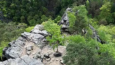 Aufsicht auf einen der Kletterfelsen im Morgenbachtal