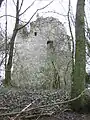 Ruine des Klosters Valroy