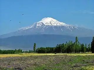 Großer Ararat von Westen