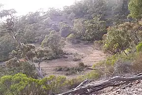 Blick vom Hang des Mount Remarkable