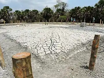 Mud Volcano auf Baratang Island