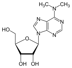 Strukturformel von N6,N6-Dimethyladenosin