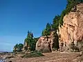 Hopewell Rocks bei Niedrigwasser