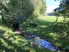 Wipper am südl. Rand des bewaldeten Quellgebietes