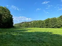 Großflächige Talaue bei der Einmündung des Purder Baches in die Große Dhünn