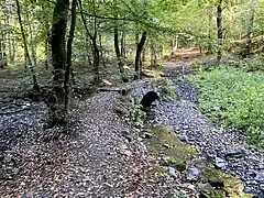 Brebach an der Mündung des Stöckenbaches