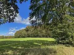 Blick von der Alten Landwehr auf den Kopf des Baumer Berges (319 m)