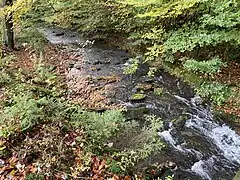 Hasper Bach mit hoher Fließdynamik