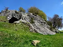 Höhlenfels Hohler Stein im NSG